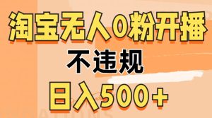 2024淘宝网没有人0粉公域流量播出，不违规，轻轻松松日入5张-番茄副业网