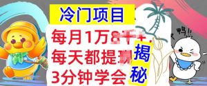 蓝海项目，用这种方法一定要学会，内部结构实例教程，每月1w(揭密)-番茄副业网