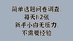 简易论文选题问卷调研，每日1张，新手入门没压力，不用工作经验-番茄副业网