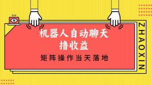 （12908期）机器人自动闲聊撸盈利，单机版日入500 引流矩阵实际操作当日落地式-番茄副业网