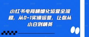 小红书电商精细化营销全过程,从0-1实际操作经营,使你从小白到精锐-番茄副业网