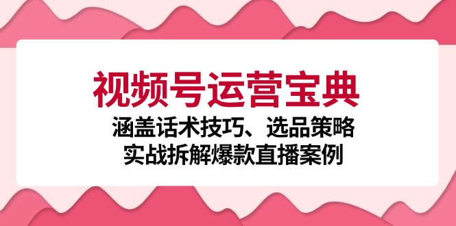 视频号运营宝典：涵盖话术技巧、选品策略、实战拆解爆款直播案例-番茄副业网