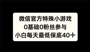微信特殊游戏,0前提0粉丝们,新手入门每日至少最低40-番茄副业网