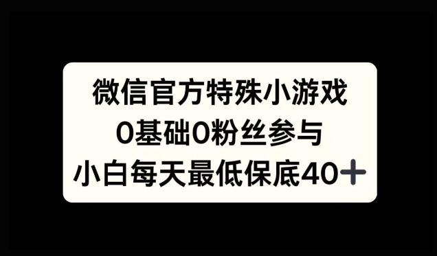 微信特殊游戏，0前提0粉丝们，新手入门每日至少最低40-番茄副业网