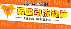 花大价钱学到的闲鱼平台到流秘笈，日引200 精确自主创业粉-番茄副业网