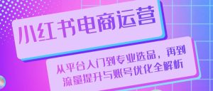 小红书电商运营:从平台入门到专业选品,再到流量提升与账号优化全解析-番茄副业网
