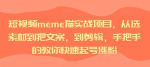 小视频meme猫实践项目，从选素材内容到把创意文案，到视频剪辑，手把手的教你迅速养号增粉-番茄副业网