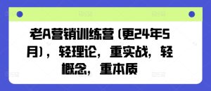 老A营销训练营(更24年10月),轻理论,重实战,轻概念,重本质-番茄副业网