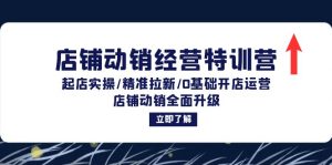 店铺动销经营特训营：起店实操/精准拉新/0基础开店运营/店铺动销全面升级-番茄副业网