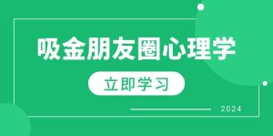 (12899期)微信朋友圈吸钱社会心理学:揭密心理学效应,提升销售业绩,打造个人IP和行业权威性-番茄副业网