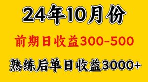 大神是靠什么赚钱.早期日盈利500 熟练后日盈利3000上下-番茄副业网