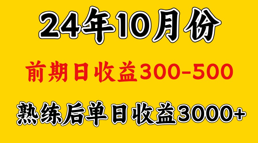 大神是靠什么赚钱.早期日盈利500 熟练后日盈利3000上下-番茄副业网