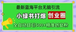 全新瀚海服务平台没脑子引流方法，小绿书打穿创业圈，自动式日引500 精确自主创业粉-番茄副业网