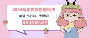 2024短剧剧本引流自撸游戏玩法，单机版1个小时18不受限制，批量处理日入了k-番茄副业网
