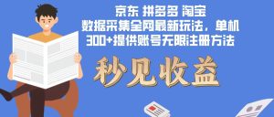 （12840期）数据采集最新玩法单机300+脚本无限开 有无限注册账号的方法免费送可开…-番茄副业网
