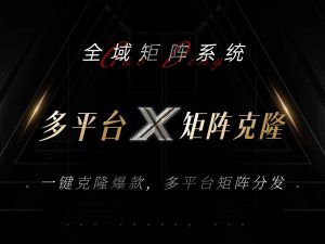 （13126期）全域矩阵系统，可一键克隆爆款矩阵分发到多个平台！矩阵操作日引流500+！-番茄副业网