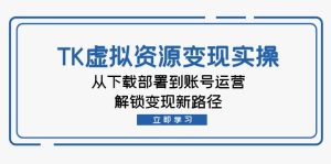 TK虚拟资源变现实操：从下载部署到账号运营，解锁变现新路径-番茄副业网