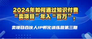 （12877期）2024年平常人怎样通过社交电商“卖项目”年收入“上百万”人物关系构建-高科技…-番茄副业网