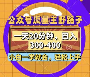 （12866期）微信公众号微信流量主歪门邪道游戏玩法，一天20min，日入300~400，新手一学就会-番茄副业网