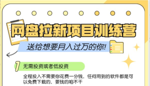 百度云盘引流夏令营3.0；零成本公域流量营销推广大冒险，赠给需要月入上万的你-番茄副业网