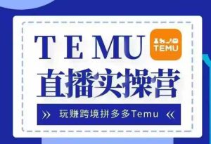Temu直播实战营，玩赚跨境拼多多Temu，国内电商卷就出海赚美金-番茄副业网