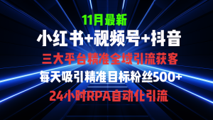 （13259期）全域多平台引流私域打法，小红书，视频号，抖音全自动获客，截流自...-番茄副业网