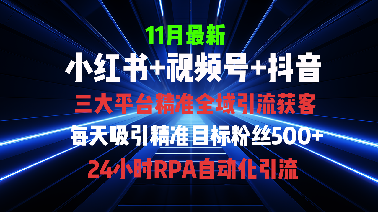 （13259期）全域多平台引流私域打法，小红书，视频号，抖音全自动获客，截流自…-番茄副业网