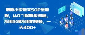 全新小说推文SOP全过程，从0~1家庭保姆级实例教程，无需出境无需拍摄视频，一天400-番茄副业网