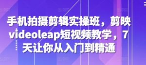 手机拍摄剪辑实操班,剪映videoleap短视频教学,7天让你从入门到精通-番茄副业网