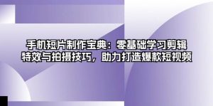 手机短片制作宝典:零基础学习剪辑、特效与拍摄技巧,助力打造爆款短视频-番茄副业网