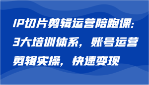 IP切片剪辑运营陪跑课,3大培训体系:账号运营 剪辑实操 快速变现-番茄副业网