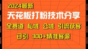 天花板打粉技术分享，野路子玩法 曝光玩法免费矩阵自热技术日引2000+精准客户-番茄副业网