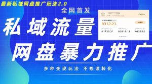 全新暴力行为公域百度云盘拉新模式2.0，多种多样变现方式，并打造公域逆流，轻轻松松日入500 【揭密】-番茄副业网