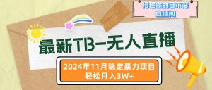 （13243期）最新TB-无人直播 11月最新，打造你的日不落直播间，轻松月入3W+-番茄副业网