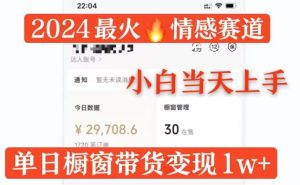 2024最红情绪跑道单月转现破万，多平台分发，100%原创设计游戏玩法，新手当日入门-番茄副业网