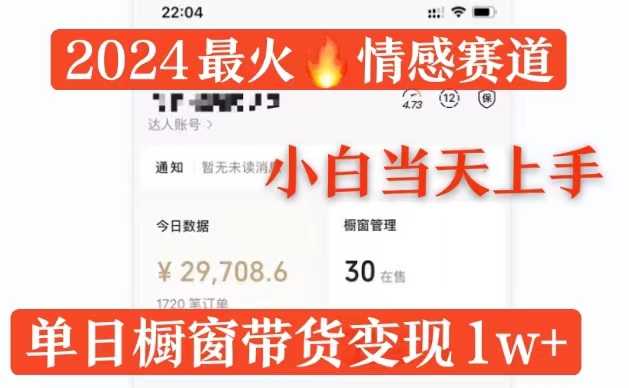 2024最红情绪跑道单月转现破万，多平台分发，100%原创设计游戏玩法，新手当日入门-番茄副业网