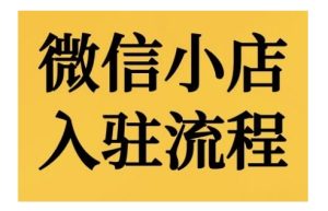 微小店开店流程，微小店的进驻和微小店后台系统作用的讲解演试-番茄副业网