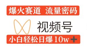0粉在视频号爆火赛道流量密码，模式全方位，小白轻松日爆10w+流量-番茄副业网