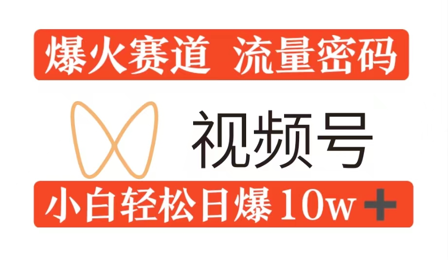0粉在视频号爆火赛道流量密码，模式全方位，小白轻松日爆10w+流量-番茄副业网