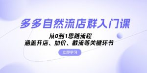 （13279期）多多自然流店群入门课，从0到1思路流程，涵盖开店、加价、截流等关键环节-番茄副业网