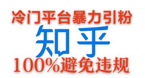 小众服务平台暴力行为引流方法，日引100 自主创业粉，0成本费100%防止违反规定游戏的玩法-番茄副业网