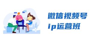 视频号ip经营班：特聘共享 CEO直播间 精锐共享，揭密视频号变现窍门-番茄副业网