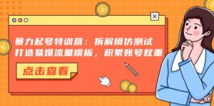 （13184期）暴力起号特训营：拆解模仿测试，打造易爆流量模板，积累账号权重-番茄副业网