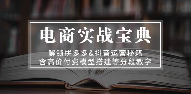 电子商务实战演练秘笈：开启拼多多平台&自媒体运营秘笈，含高价位付钱模型搭建等按段课堂教学-番茄副业网
