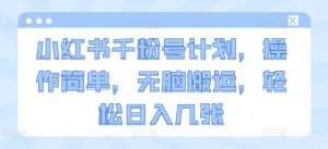 小红书的千粉号方案，使用方便，没脑子运送，轻轻松松日入多张-番茄副业网