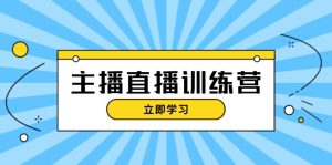 （13241期）主播直播特训营：抖音直播间运营知识+开播准备+流量考核，轻松上手-番茄副业网