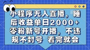 （13251期）小程序无人直播，睡后收益单日2000+ 零粉新号开播，不违规不封号 看完就会-番茄副业网