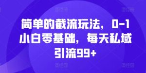 简单截留游戏玩法，0-1新手零基础，每日私域引流99 【揭密】-番茄副业网