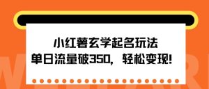 小红书风水玄学取名游戏玩法，单日总流量破350 ，轻轻松松转现-番茄副业网