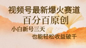 （13225期）视频号最新爆火赛道，中老年粉深信不疑，百分百原创，新号三天收益轻松...-番茄副业网